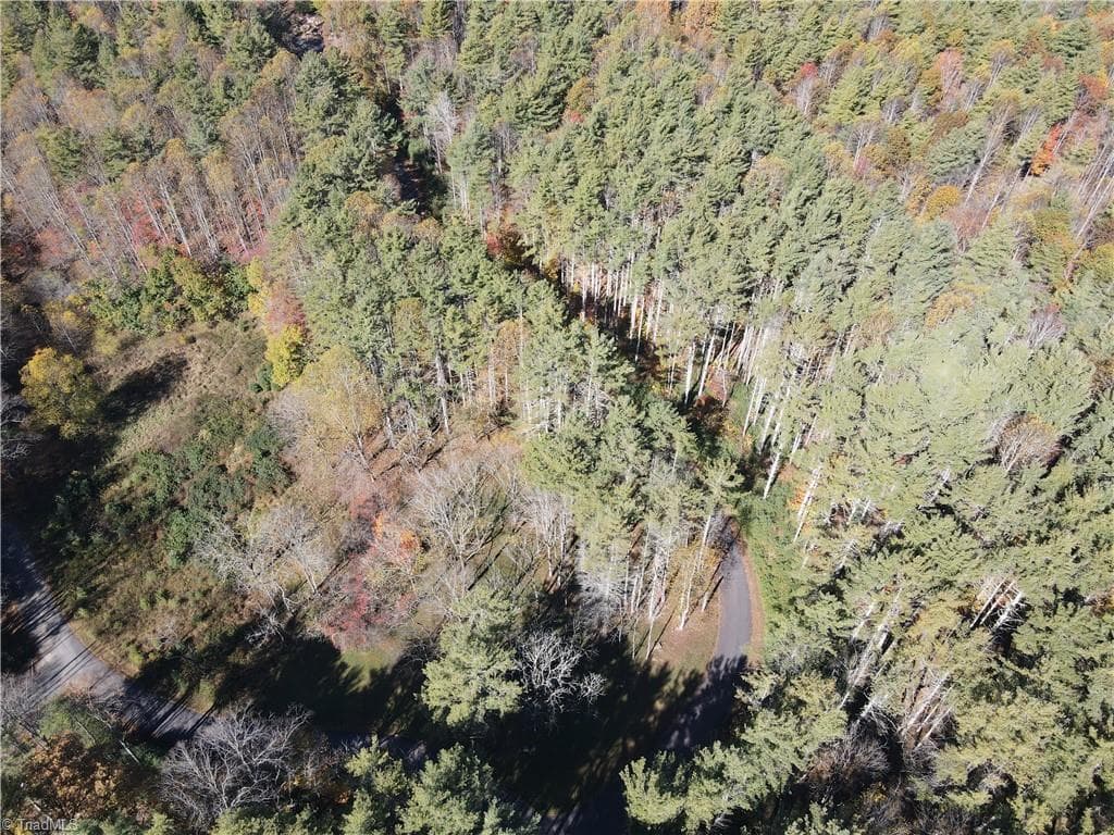 Unimproved Land at TBD Jake Blackburn Road, Lansing NC Lansing, photo 21 of 21