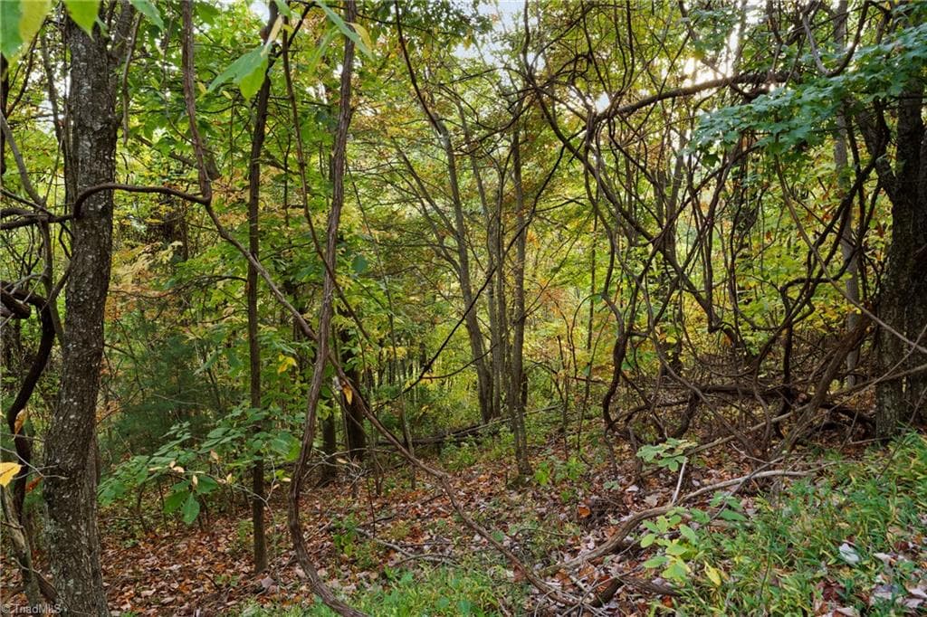 Lot 16 Little Ivy Lane, Deep Gap NC 28618