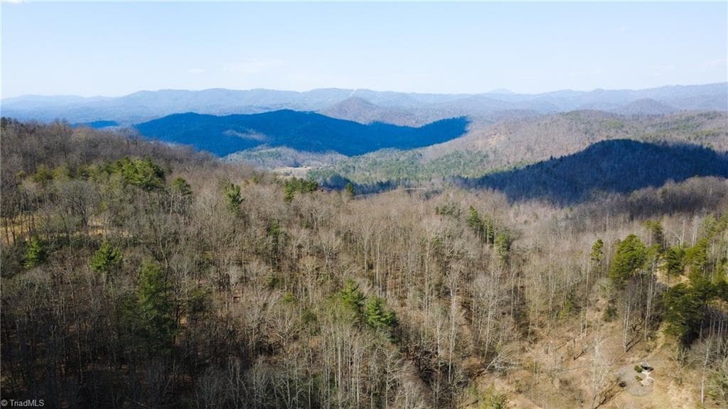 Unimproved Land at TBD Lot 17 Chestnut Falls Drive, Millers Creek NC 28651, photo 2 of 9