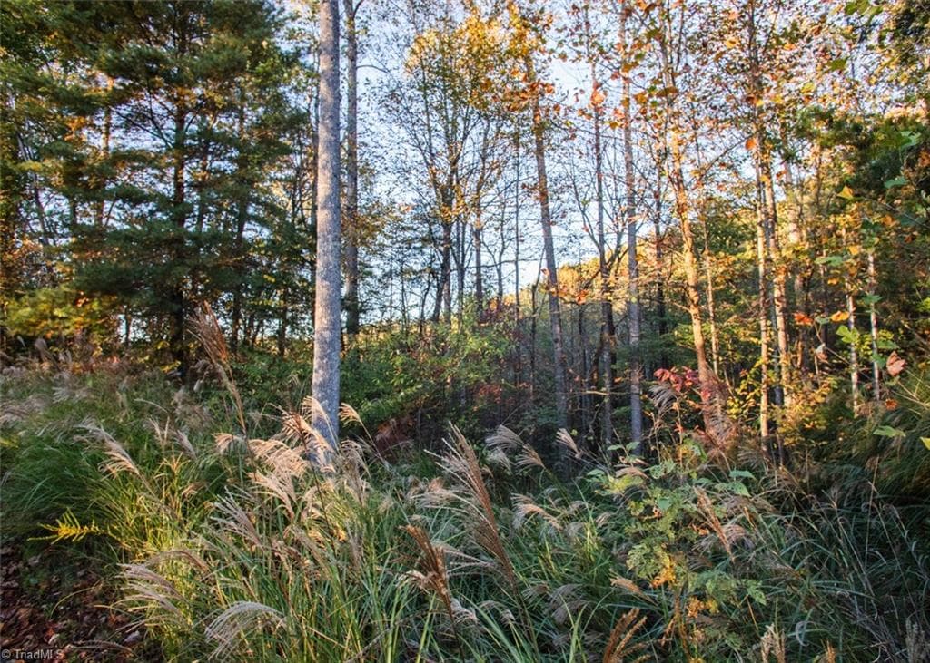 Unimproved Land at TBD Lot 17 Chestnut Falls Drive, Millers Creek NC 28651, photo 6 of 9