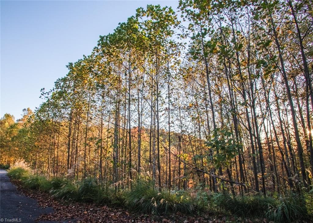 Unimproved Land at TBD Lot 17 Chestnut Falls Drive, Millers Creek NC 28651, photo 7 of 9