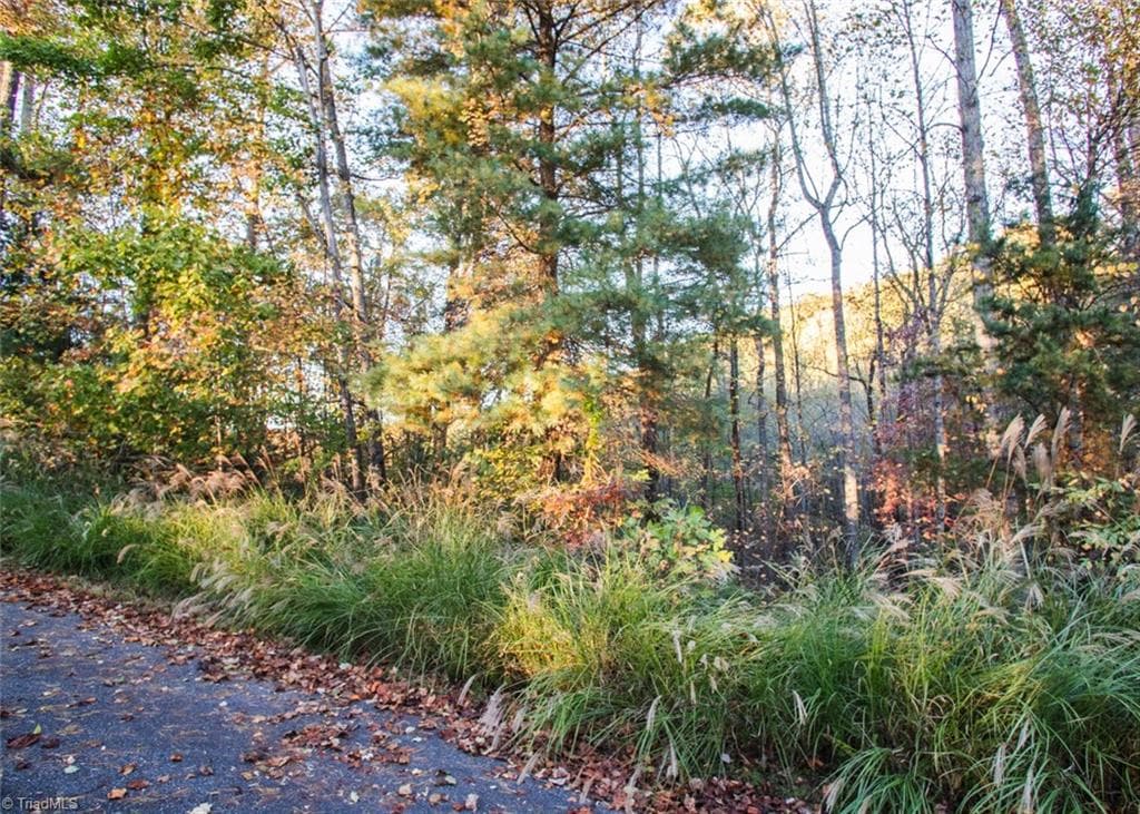 TBD Lot 17 Chestnut Falls Drive, Millers Creek NC 28651