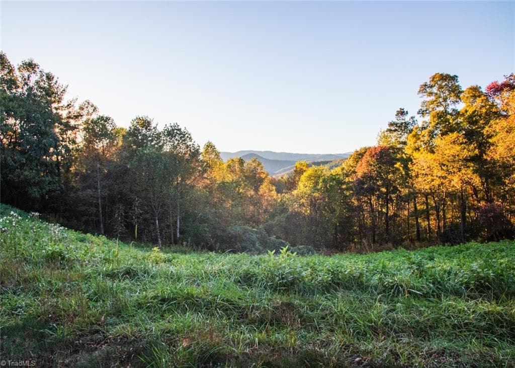 Unimproved Land at TBD Lot 17 Chestnut Falls Drive, Millers Creek NC 28651, photo 5 of 9