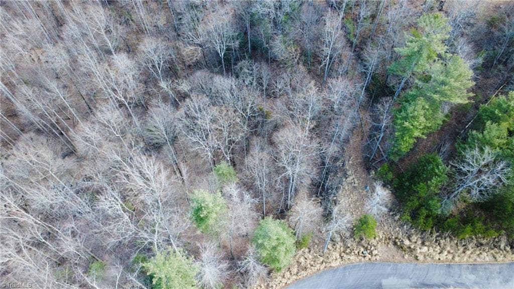 Unimproved Land at TBD Lot 17 Chestnut Falls Drive, Millers Creek NC 28651, photo 9 of 9