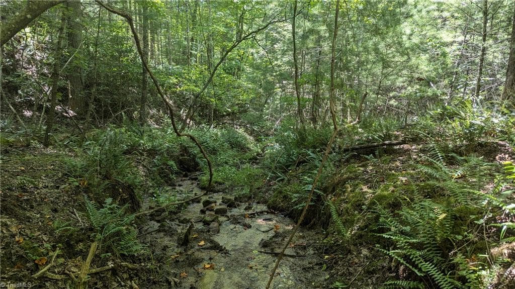 Unimproved Land at 1501 Buckwheat Road, McGrady NC 28649, photo 23 of 50
