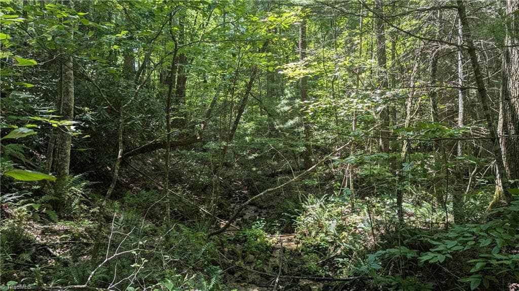 Unimproved Land at 1501 Buckwheat Road, McGrady NC 28649, photo 27 of 50