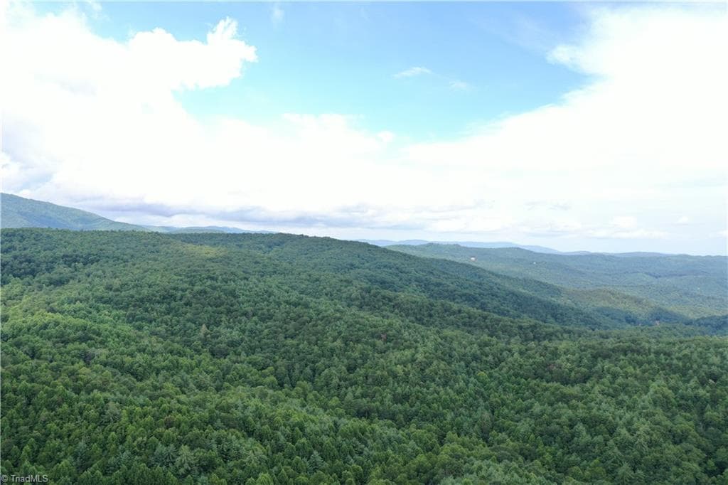 Unimproved Land at 1501 Buckwheat Road, McGrady NC 28649, photo 2 of 50
