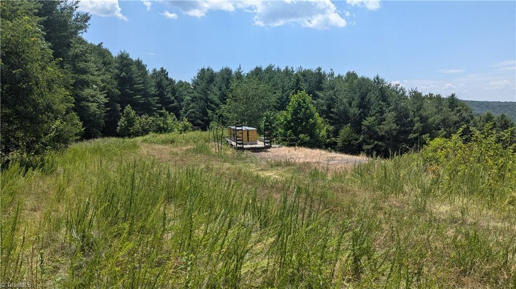 Unimproved Land at 1501 Buckwheat Road, McGrady NC 28649, photo 6 of 50