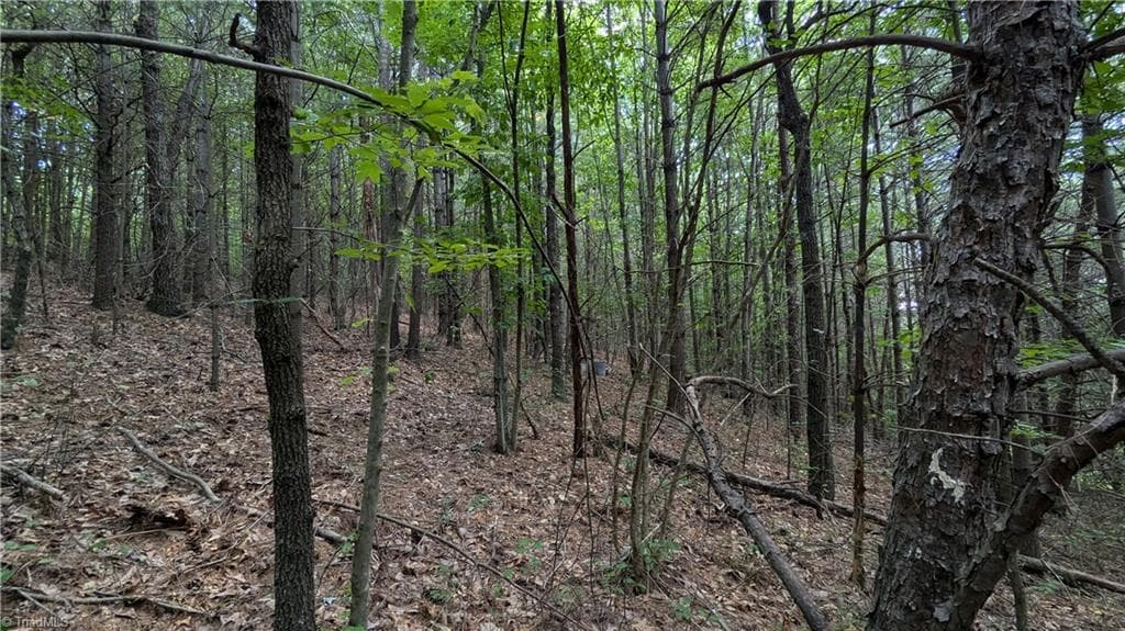 Unimproved Land at 1501 Buckwheat Road, McGrady NC 28649, photo 42 of 50
