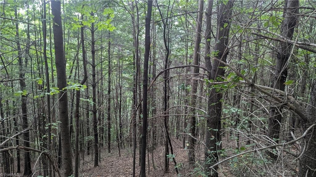Unimproved Land at 1501 Buckwheat Road, McGrady NC 28649, photo 46 of 50