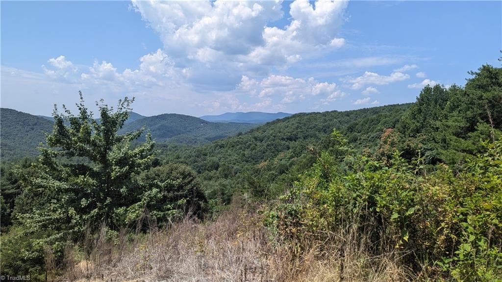 Unimproved Land at 1501 Buckwheat Road, McGrady NC 28649, photo 13 of 50