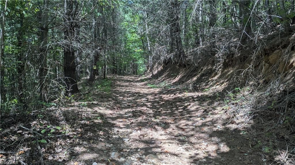 Unimproved Land at 1501 Buckwheat Road, McGrady NC 28649, photo 17 of 50