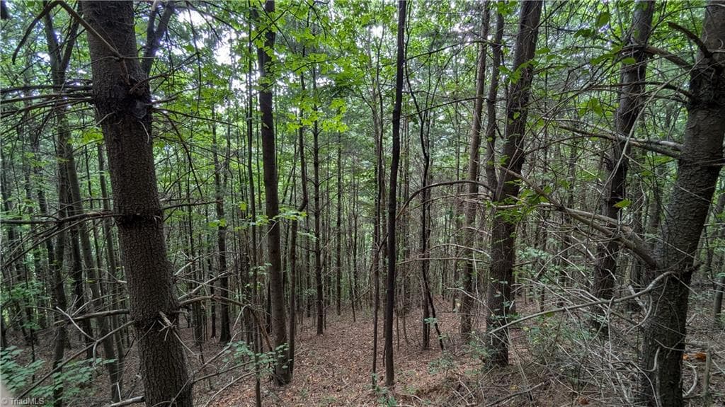 Unimproved Land at 1501 Buckwheat Road, McGrady NC 28649, photo 47 of 50