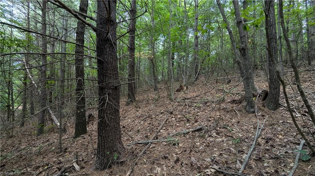 Unimproved Land at 1501 Buckwheat Road, McGrady NC 28649, photo 43 of 50