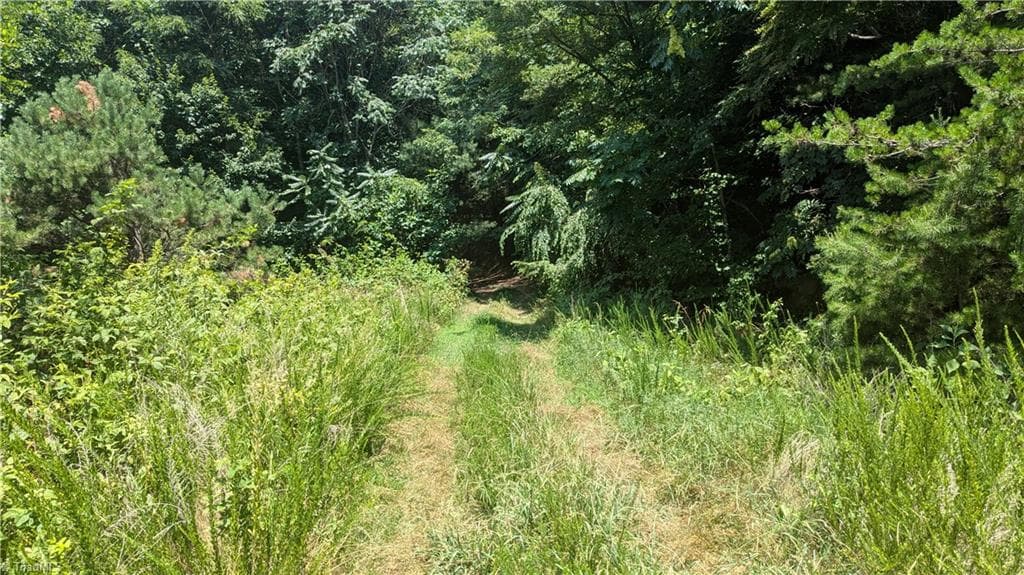 Unimproved Land at 1501 Buckwheat Road, McGrady NC 28649, photo 16 of 50