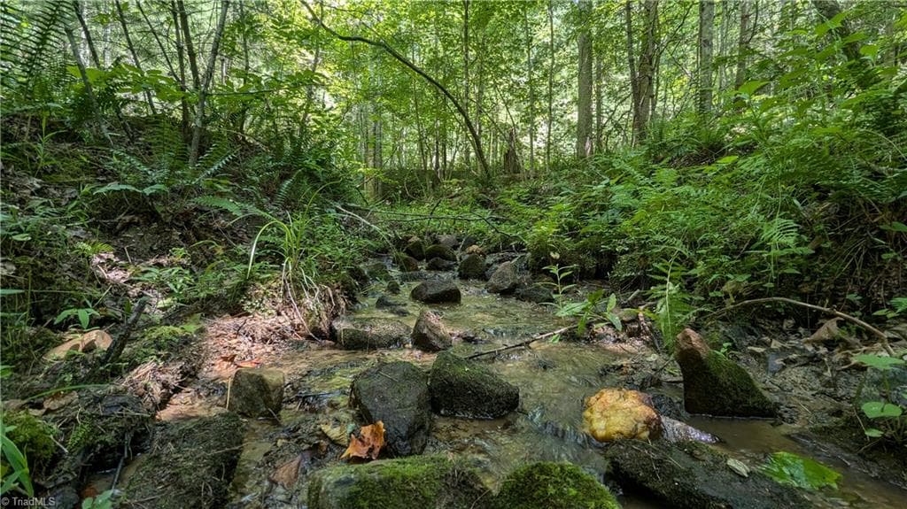 Unimproved Land at 1501 Buckwheat Road, McGrady NC 28649, photo 26 of 50