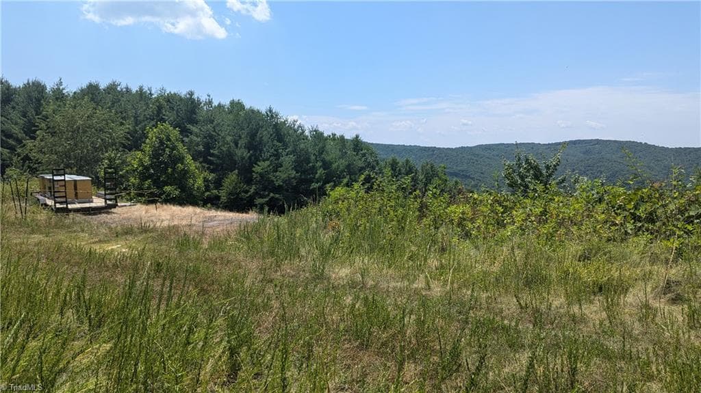 Unimproved Land at 1501 Buckwheat Road, McGrady NC 28649, photo 7 of 50