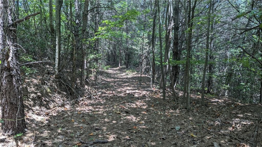 Unimproved Land at 1501 Buckwheat Road, McGrady NC 28649, photo 36 of 50