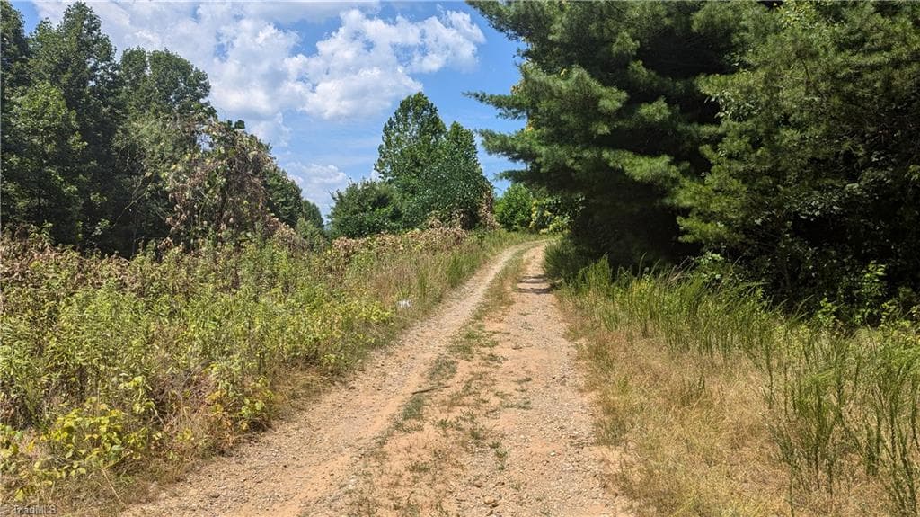 Unimproved Land at 1501 Buckwheat Road, McGrady NC 28649, photo 5 of 50