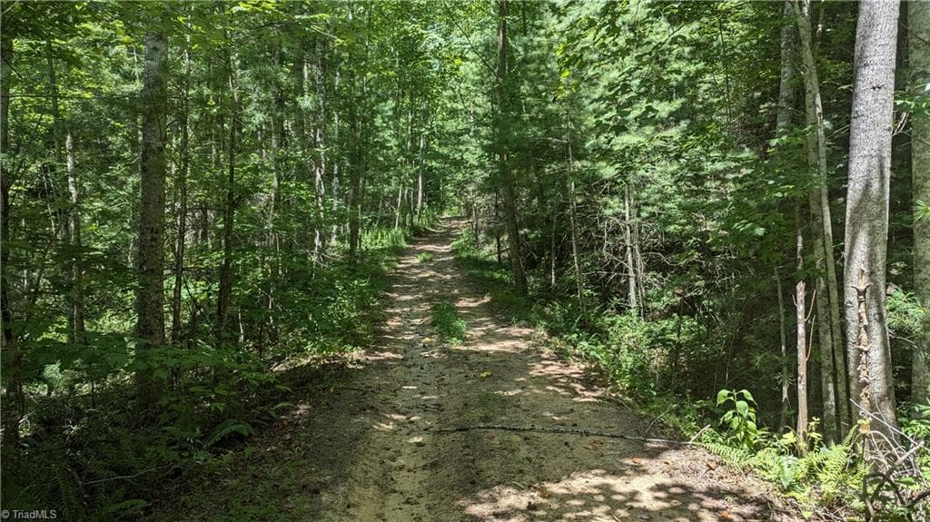 Unimproved Land at 1501 Buckwheat Road, McGrady NC 28649, photo 20 of 50