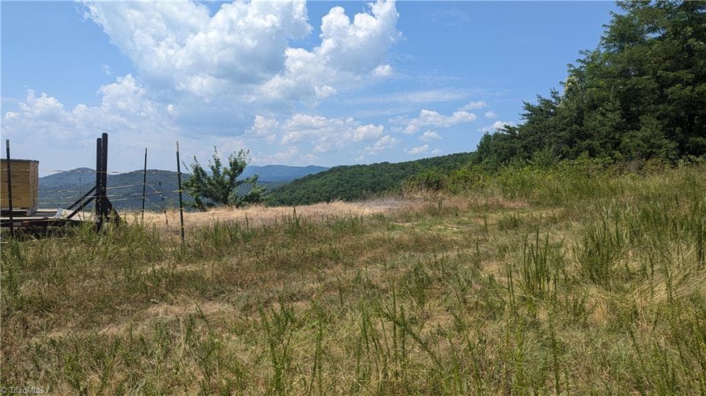 Unimproved Land at 1501 Buckwheat Road, McGrady NC 28649, photo 9 of 50