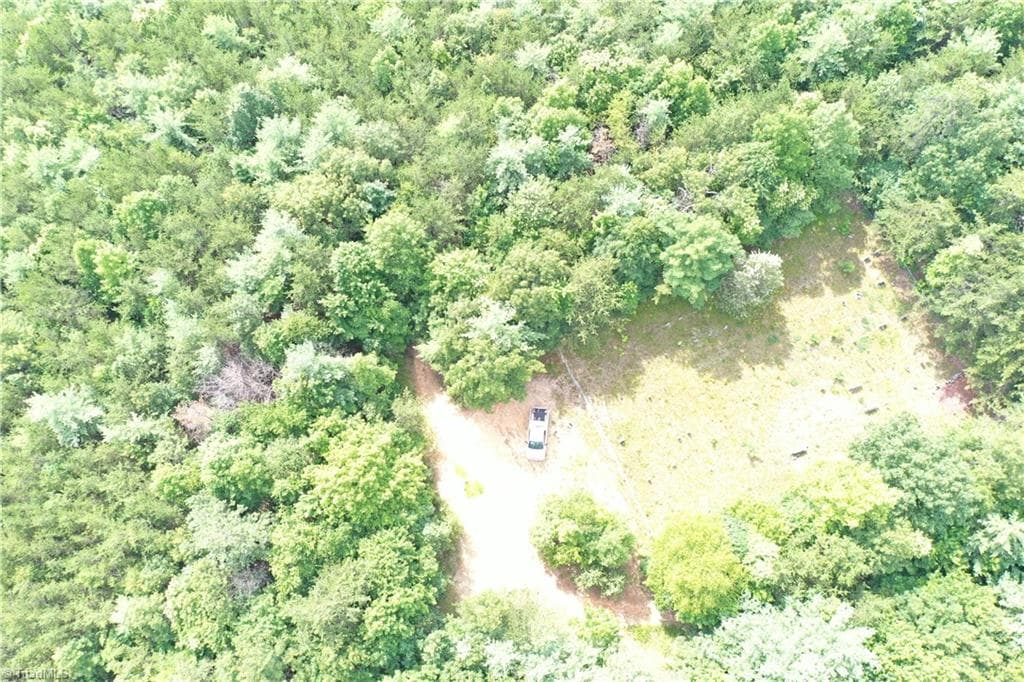 Unimproved Land at 1501 Buckwheat Road, McGrady NC 28649, photo 30 of 50