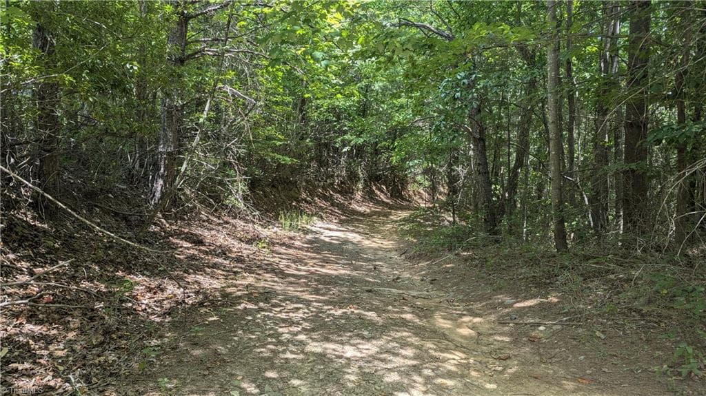Unimproved Land at 1501 Buckwheat Road, McGrady NC 28649, photo 38 of 50