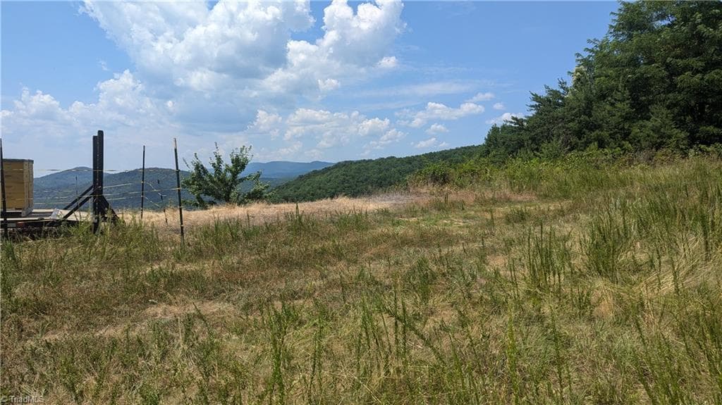 Unimproved Land at 1501 Buckwheat Road, McGrady NC 28649, photo 10 of 50