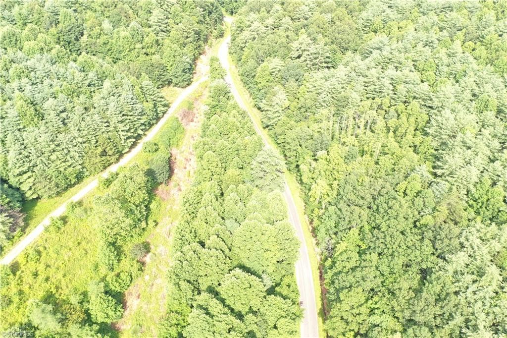 Unimproved Land at 1501 Buckwheat Road, McGrady NC 28649, photo 49 of 50