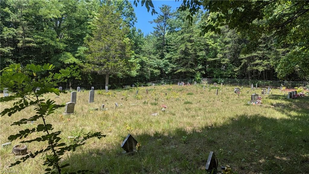 Unimproved Land at 1501 Buckwheat Road, McGrady NC 28649, photo 33 of 50