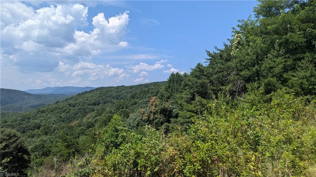 Unimproved Land at 1501 Buckwheat Road, McGrady NC 28649, photo 14 of 50