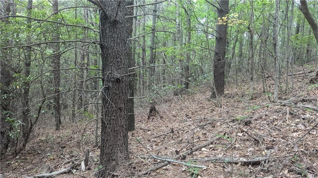 Unimproved Land at 1501 Buckwheat Road, McGrady NC 28649, photo 41 of 50