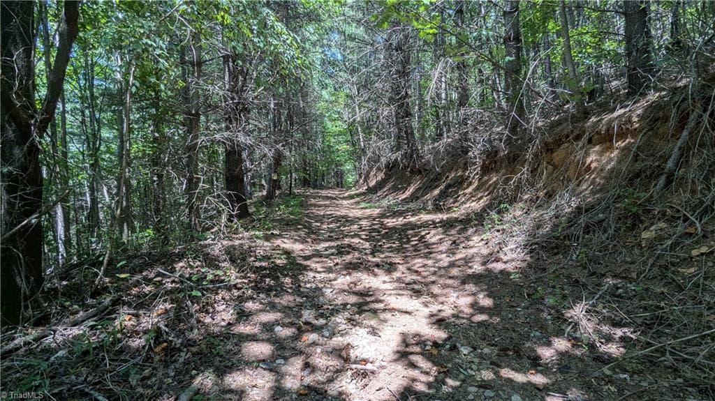 Unimproved Land at 1501 Buckwheat Road, McGrady NC 28649, photo 18 of 50