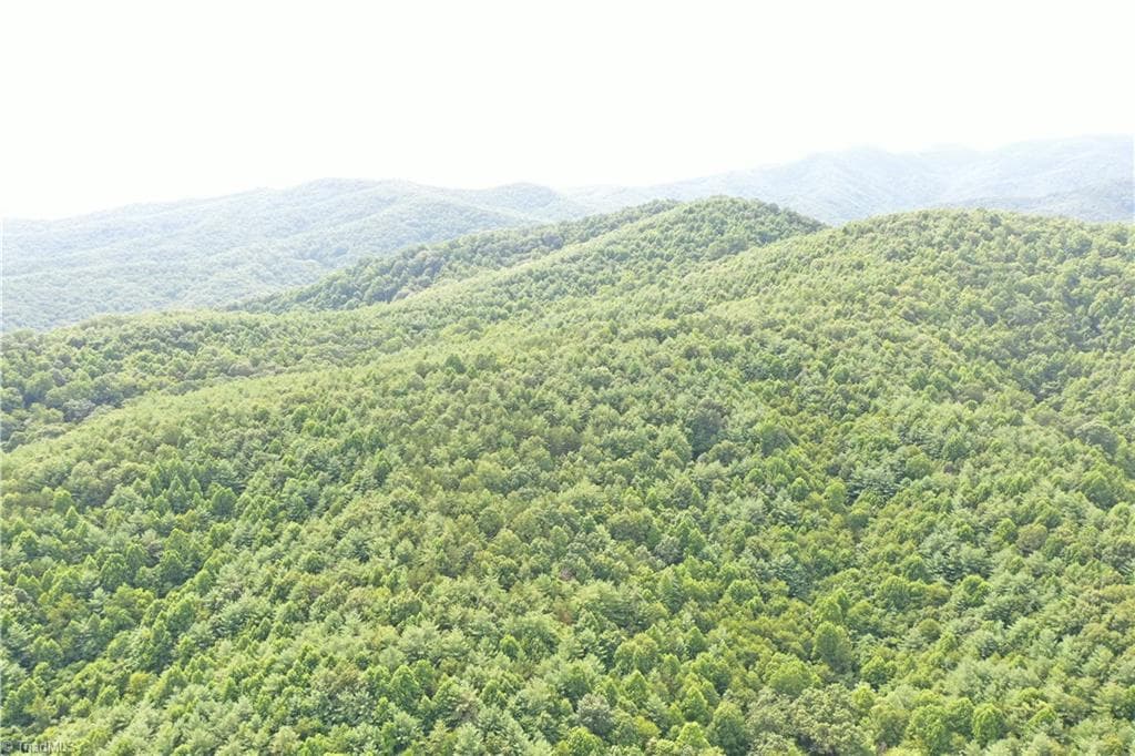 Unimproved Land at 1501 Buckwheat Road, McGrady NC 28649, photo 50 of 50
