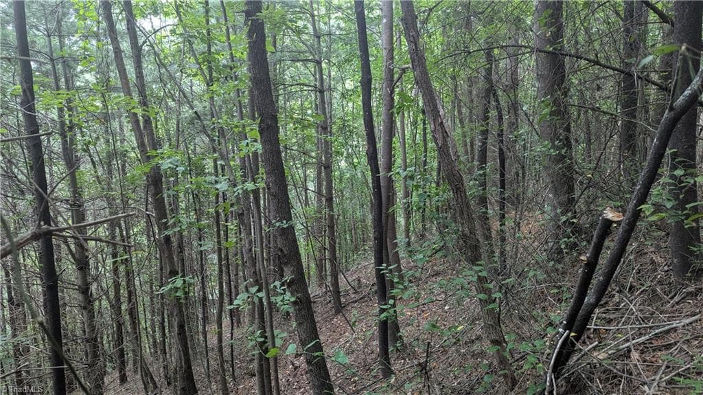 Unimproved Land at 1501 Buckwheat Road, McGrady NC 28649, photo 48 of 50