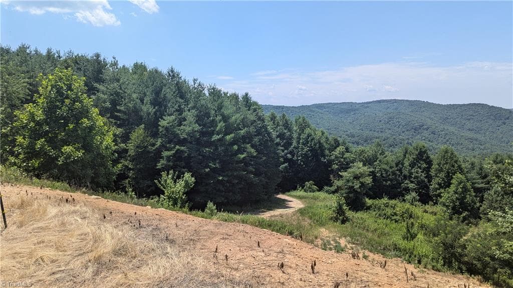 Unimproved Land at 1501 Buckwheat Road, McGrady NC 28649, photo 11 of 50