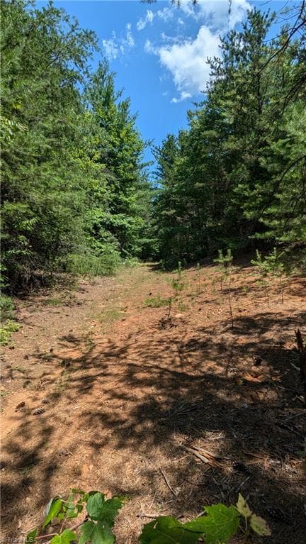 Unimproved Land at 1501 Buckwheat Road, McGrady NC 28649, photo 19 of 50