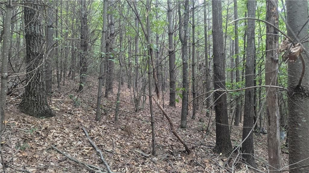 Unimproved Land at 1501 Buckwheat Road, McGrady NC 28649, photo 40 of 50