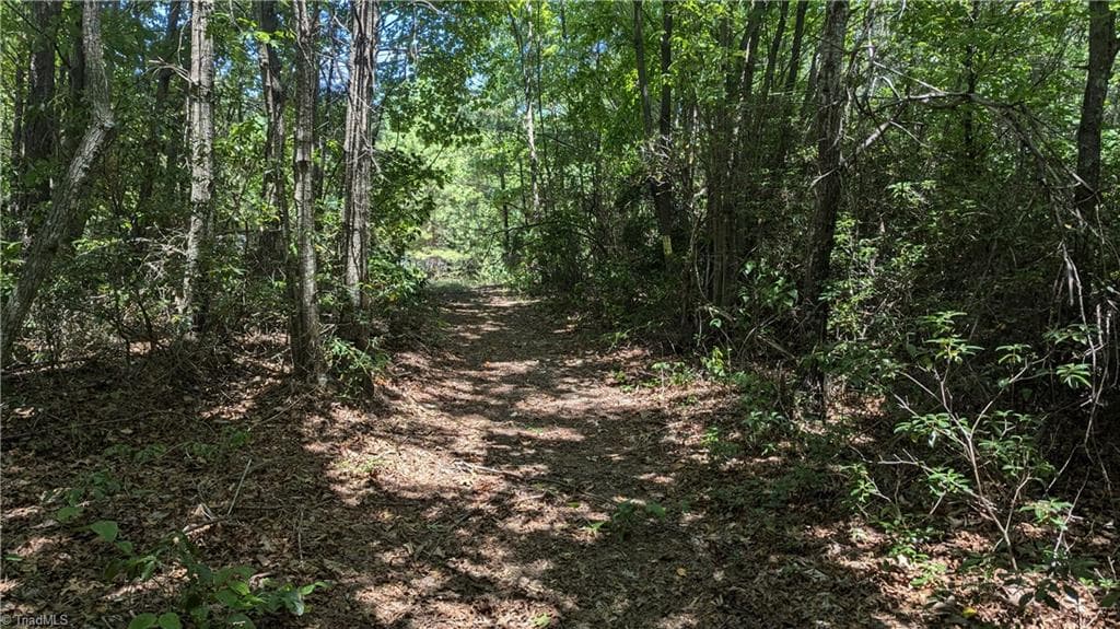 Unimproved Land at 1501 Buckwheat Road, McGrady NC 28649, photo 35 of 50