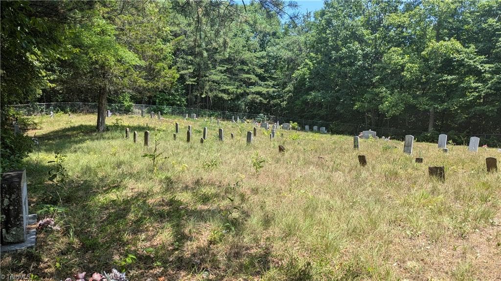 Unimproved Land at 1501 Buckwheat Road, McGrady NC 28649, photo 31 of 50
