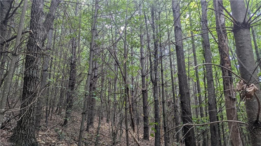 Unimproved Land at 1501 Buckwheat Road, McGrady NC 28649, photo 39 of 50
