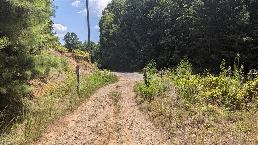 Unimproved Land at 1501 Buckwheat Road, McGrady NC 28649, photo 4 of 50