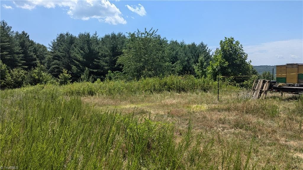 Unimproved Land at 1501 Buckwheat Road, McGrady NC 28649, photo 8 of 50
