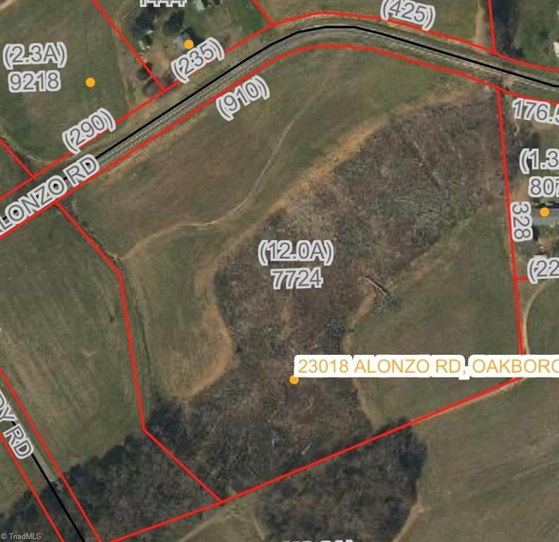Single Family Residence at 000 Alonzo Road, Oakboro NC 28129, photo 4 of 10