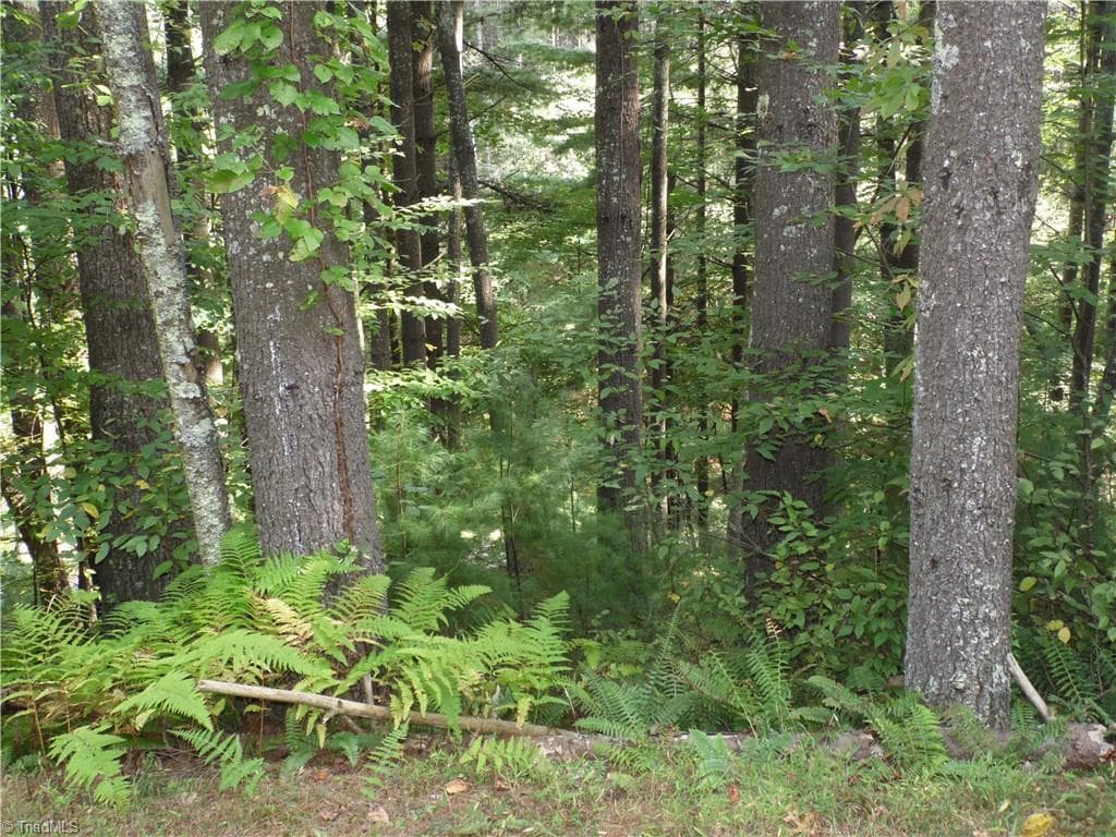 Unimproved Land at TBD Woodlands Drive, Piney Creek NC 28663, photo 2 of 12