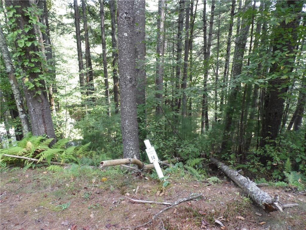 Unimproved Land at TBD Woodlands Drive, Piney Creek NC 28663, photo 6 of 12