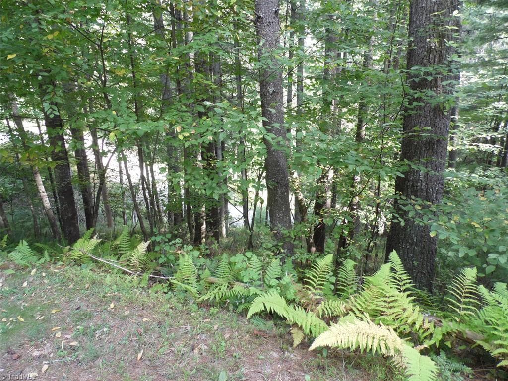 Unimproved Land at TBD Woodlands Drive, Piney Creek NC 28663, photo 7 of 12