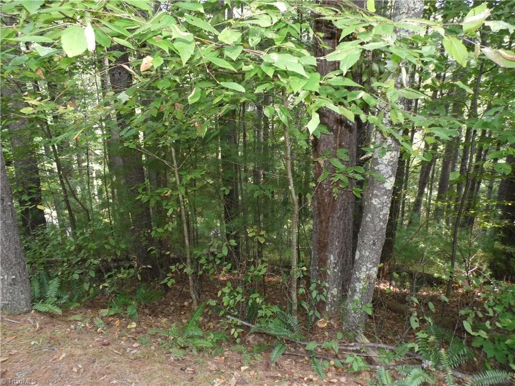 Unimproved Land at TBD Woodlands Drive, Piney Creek NC 28663, photo 3 of 12