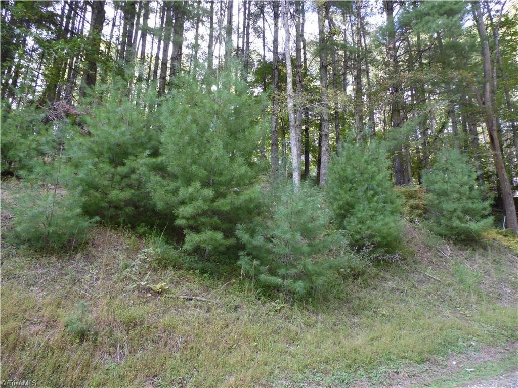 TBD Woodlands Drive, Piney Creek NC 28663