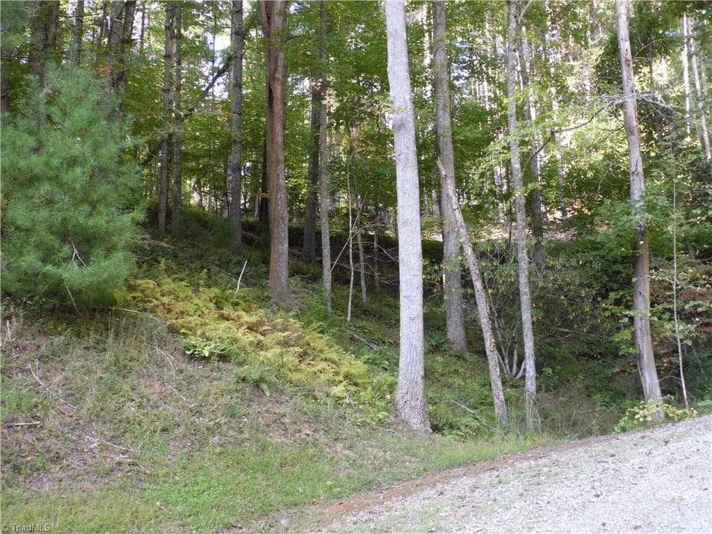 Unimproved Land at TBD Woodlands Drive, Piney Creek NC 28663, photo 5 of 12